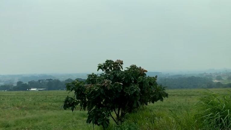 Municípios do Oeste do Paraná ficam encobertos por nevoeiro; entenda o fenômeno