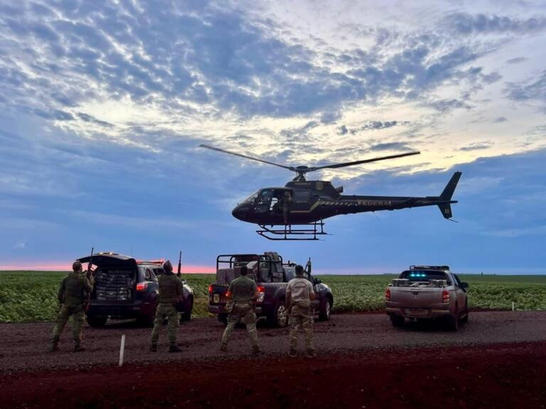 Policiais localizam 2,4 toneladas de maconha em área de mata em Guaíra