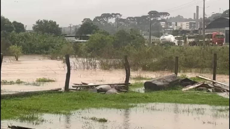 É no Paraná a cidade onde mais choveu no Brasil em 24 horas, aponta Cemaden