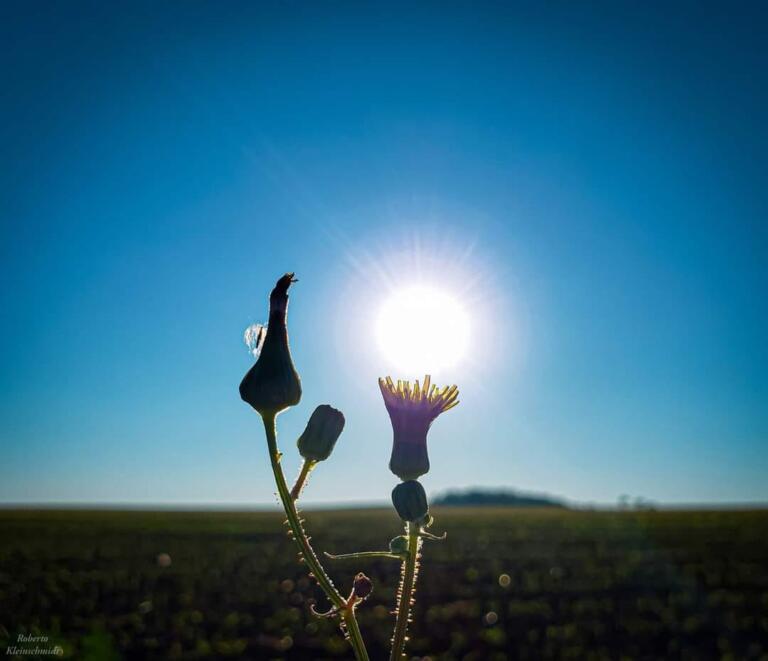 Acredite no seu potencial
