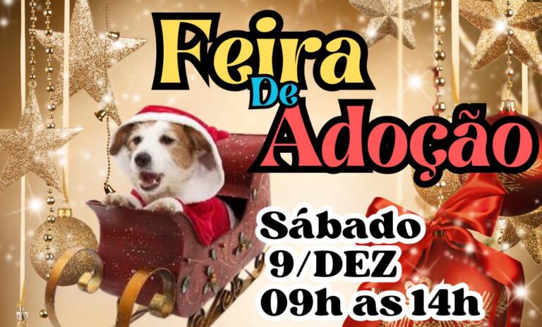 ONG Arca de Noé promove Feira de Adoção de Cães neste sábado