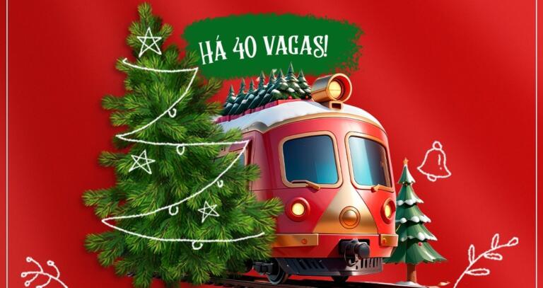 Prefeitura abre inscrições para visitação aos participantes do Concurso de Decoração Natalina