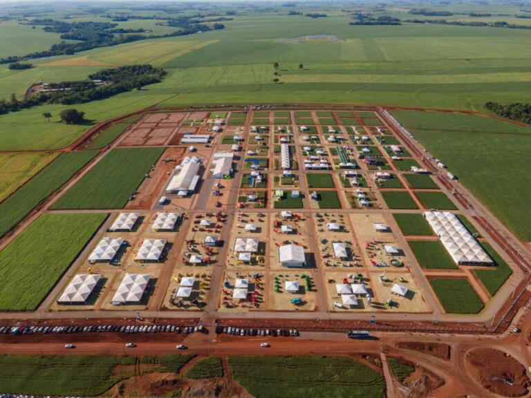 C.Vale investe em estrutura para dia de campo