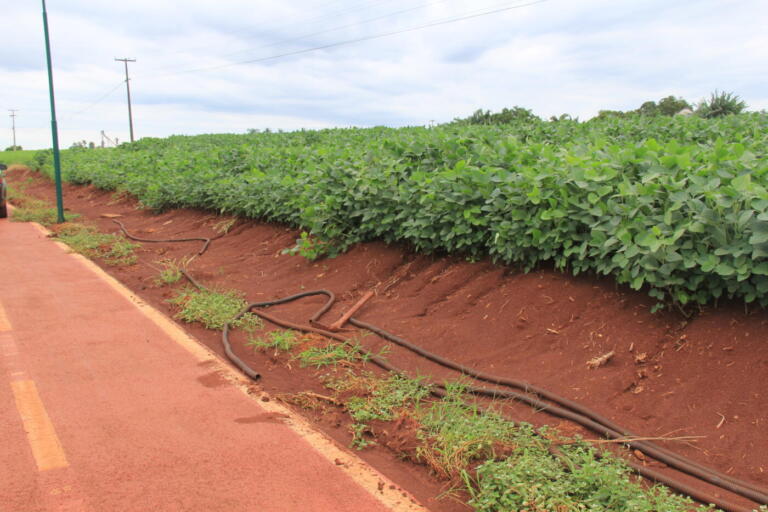 Após fios de cobre das ciclovias serem furtados um enxadão é encontrado nas proximidades