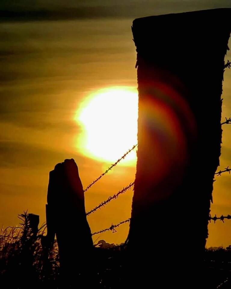 Nascemos a cada sopro