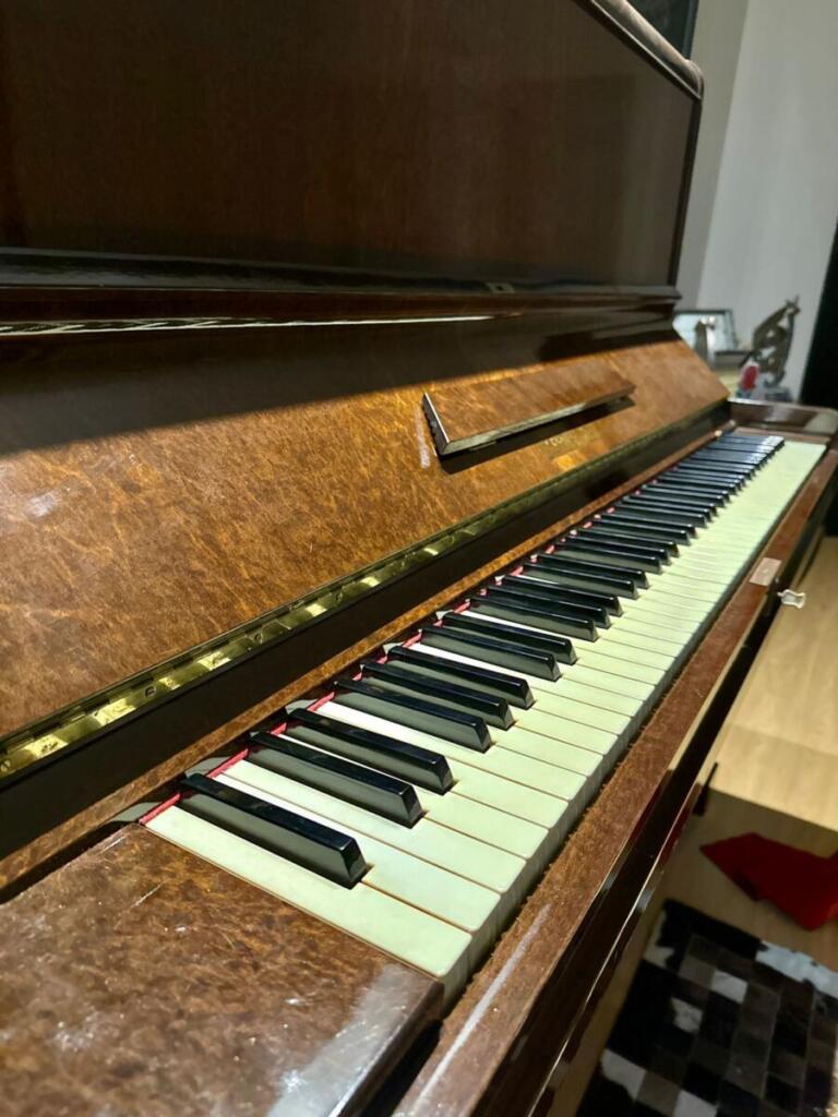 AACOP e Movimento Canta Oeste juntam esforços para aquisição de piano acústico