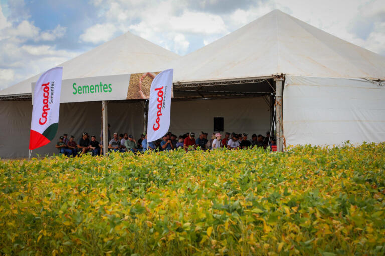 Copacol comemora sucesso da 33ª edição do Dia de Campo