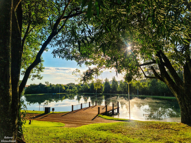 Para tudo há um sentido