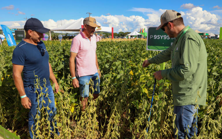 Variedade de soluções para o agronegócio é destaque no Dia de Campo da Lar