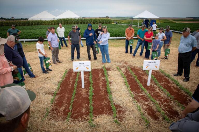 Dia de Campo da Copacol destaca potencial em sementes testadas no CPA