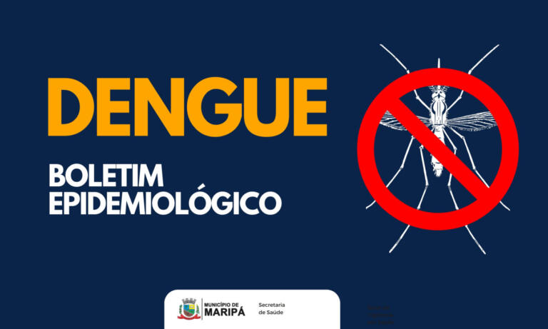 Novo boletim da dengue aponta risco de epidemia em Maripá