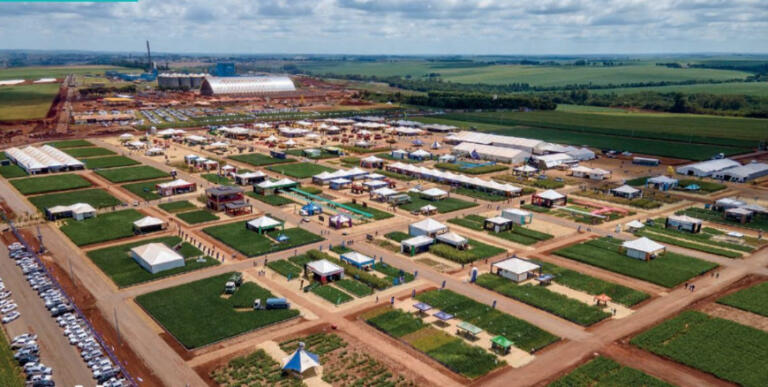 Temporal deixa cinco feridos na montagem de stands do Dia de Campo da C.Vale; evento foi transferido