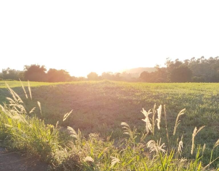 Calorão volta para Marechal Rondon na virada de mês; confira previsão do tempo