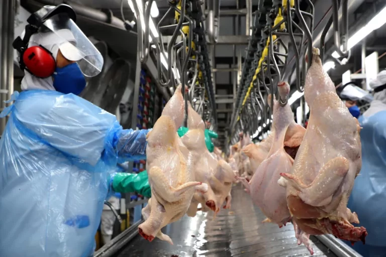 União Europeia oficializa veto à carne brasileira a partir de setembro