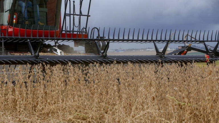 Soja atinge preços mais baixos no mercado interno desde agosto de 2020