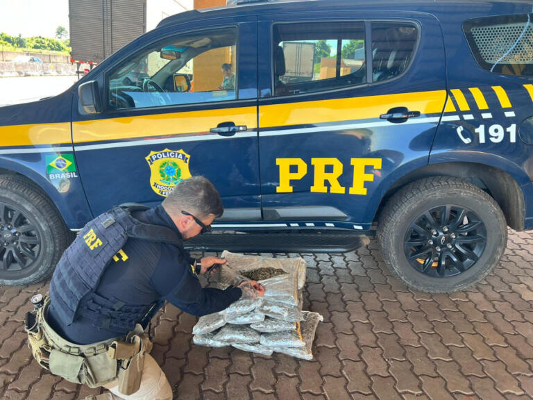 Foragido da justiça é preso com 12 quilos de capulho, uma variação da maconha