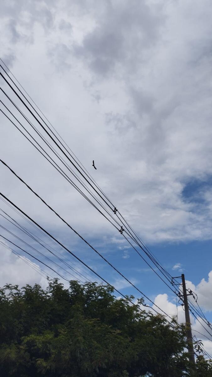 Primeira quinzena de janeiro terá chuva e tempo abafado em Marechal Rondon; confira a previsão