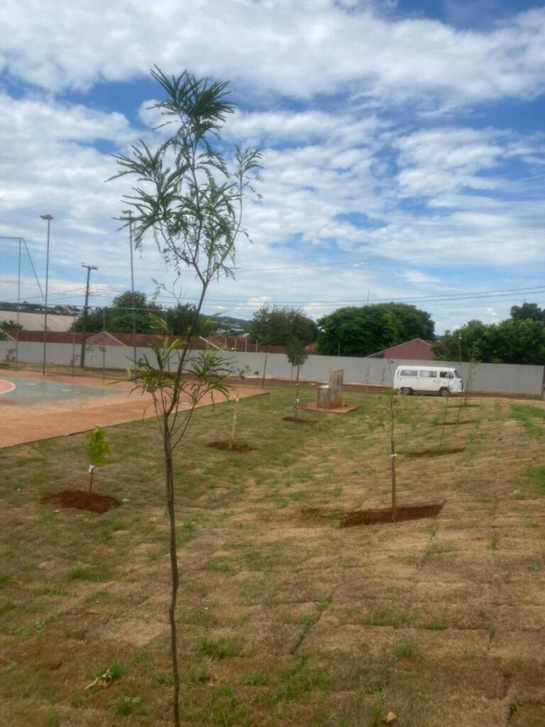 Agricultura rondonense intensifica o plantio de árvores em espaços públicos