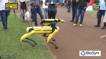Cão-robô Spot vira atração no Show Rural
