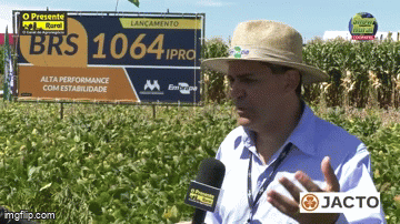 Embrapa lança cultivares de soja de alta produtividade e sanidade