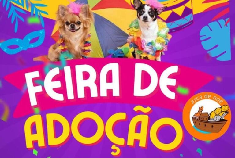 Feira de adoção acontece neste sábado no Max Atacadista