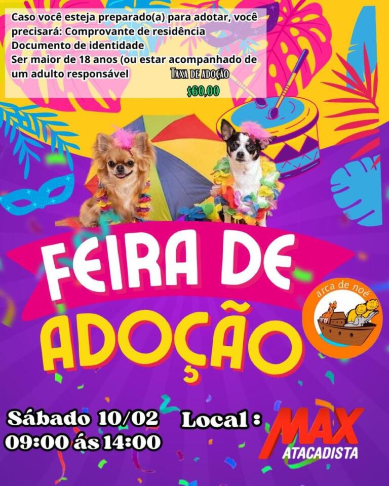 Feira de Adoção da Ong Arca de Noé acontece neste sábado em Marechal Rondon