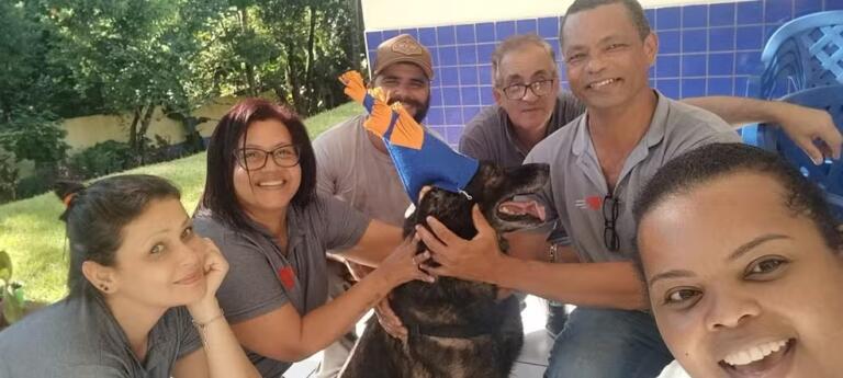 Após 10 anos na polícia drogas, cão é adotado por casa que acolhe menores com dependência no Oeste do Paraná