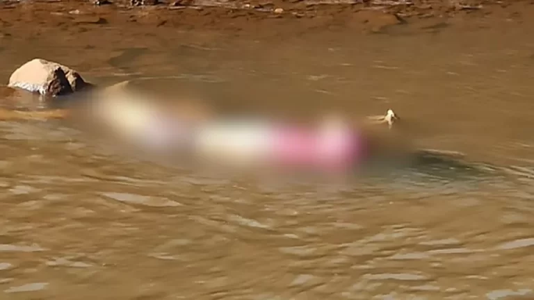 Mulher é encontrada morta no Rio São Francisco em Toledo