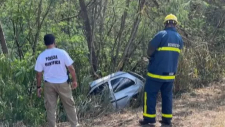 Carro atinge árvore, cai em ribanceira e motorista morre na PR-182