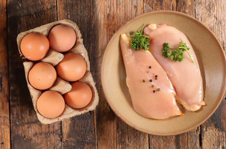 Exportações brasileiras de ovos e frango para El Salvador são ampliadas