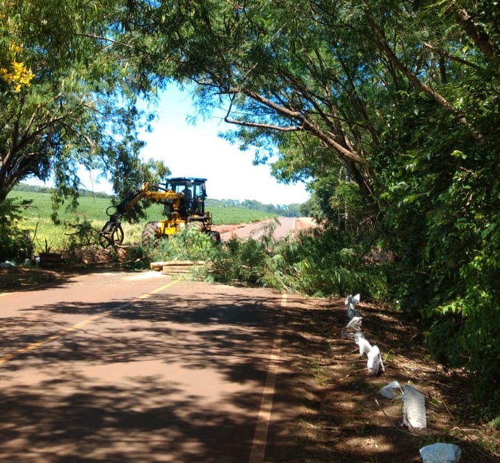 Prefeitura realiza poda de árvores nas laterais da rodovia entre Margarida e São Roque a partir de segunda-feira