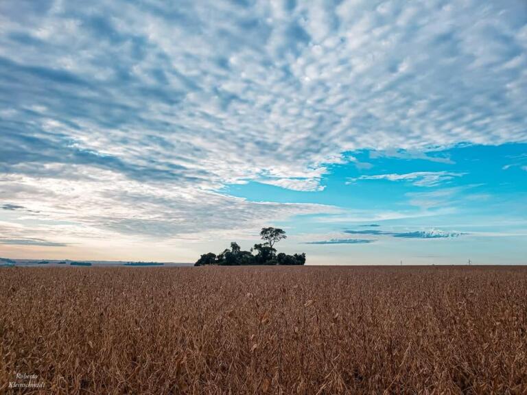 Hoje é apenas um instante
