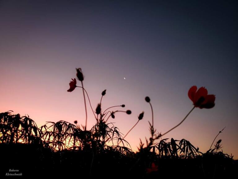 Silêncio e direção