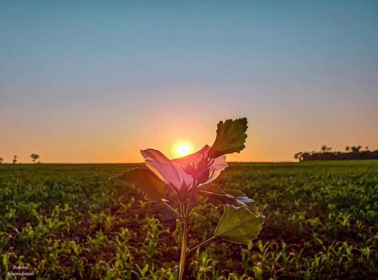 Nas ondas da emoção