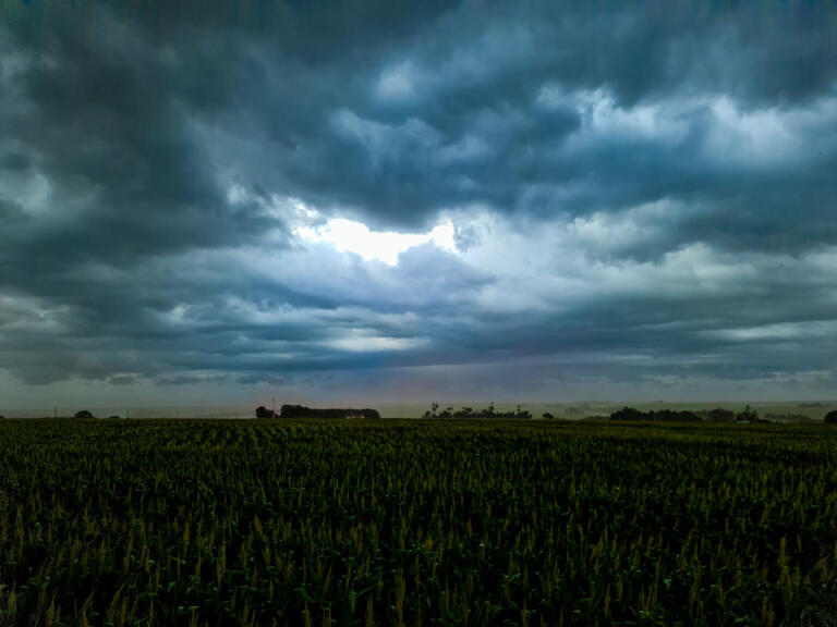 Depois da tempestade vem a calmaria
