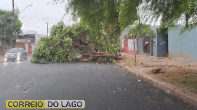 Árvores e torre telefônica caem durante vendaval em Santa Helena