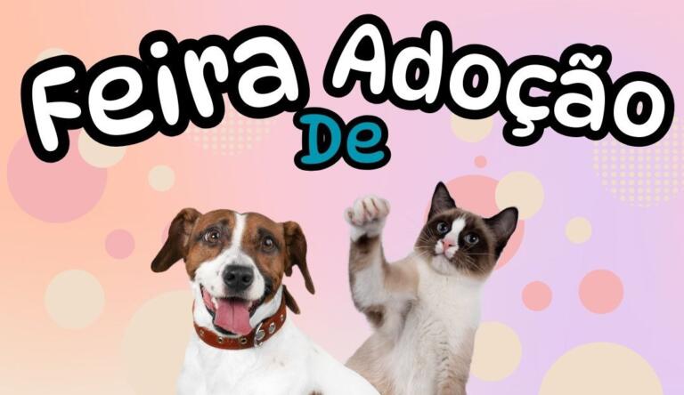 Feira de adoção acontece neste sábado no Supermercado Allmayer