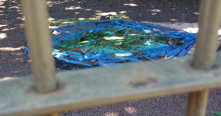 Novo LIRAa aponta média de 2,5% de infestação pelo Aedes aegypti em Marechal Rondon