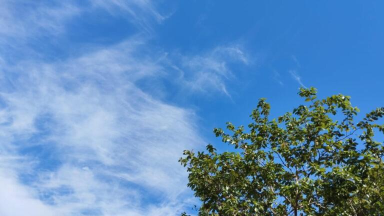 Pouca chuva e temperaturas estáveis: confira previsão para 1ª semana de abril em Marechal Rondon