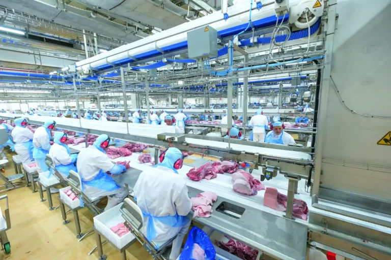 Frimesa pretende encerrar 2024 com mais de 10% de toda carne suína produzida no Brasil