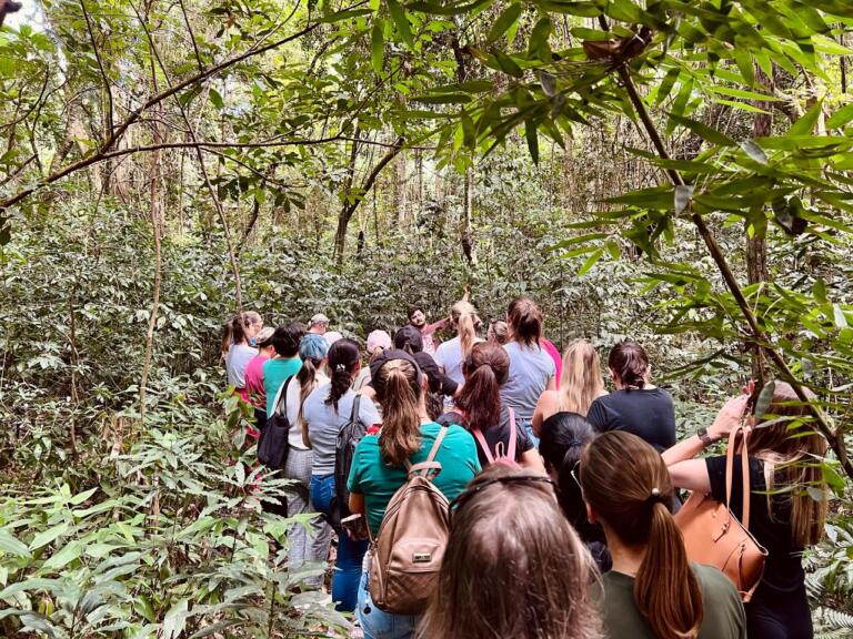 Biopark realiza formação para professores em parceria com Amop
