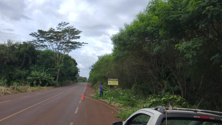Poda de galhos restaura visibilidade das placas de sinalização no Anel Viário