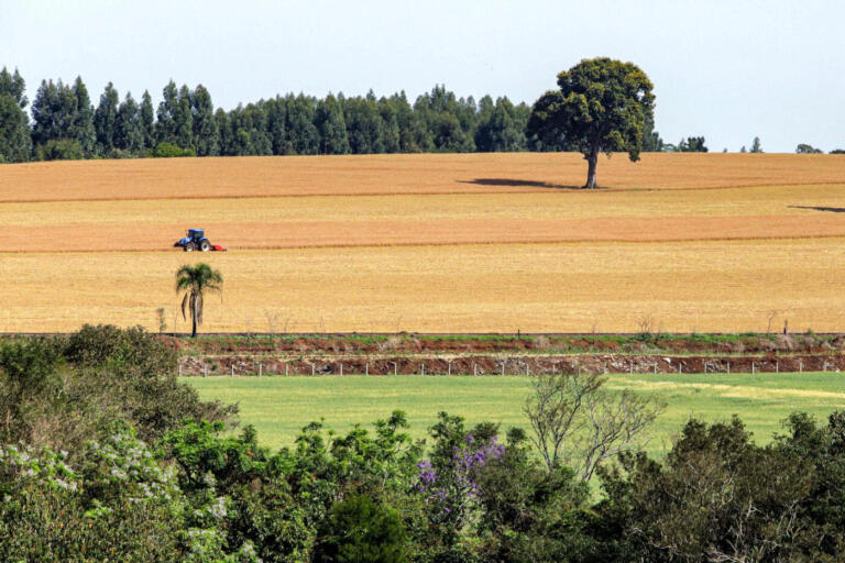 Com leis e programas, Paraná celebra pioneirismo na difusão da agricultura que cuida do solo