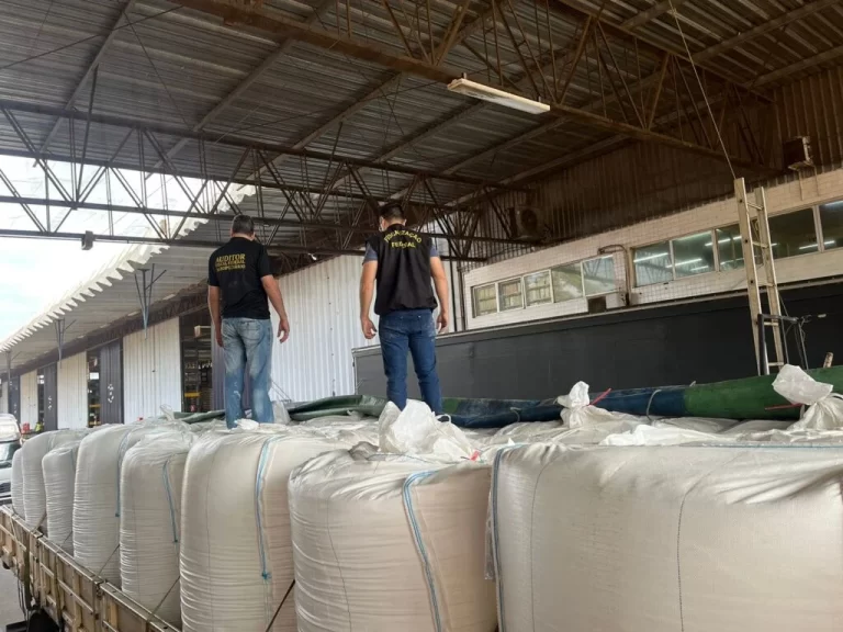 Fiscalização descobre 52 mil quilos de farinha de trigo importada e contaminada com ratos, insetos e urina