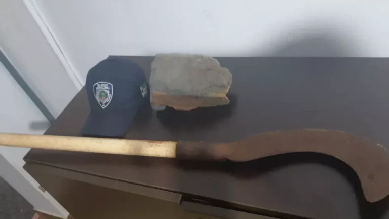 Sobrinha atinge tio com foice e briga de família termina na delegacia