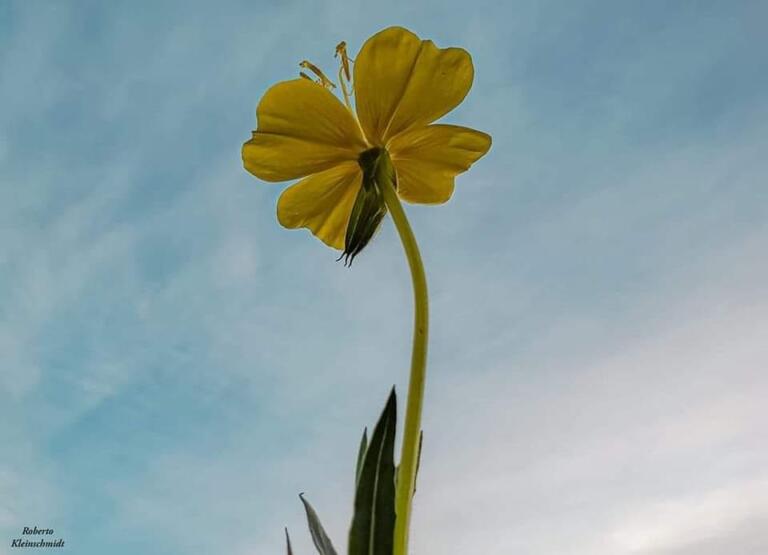 Não deixe para depois