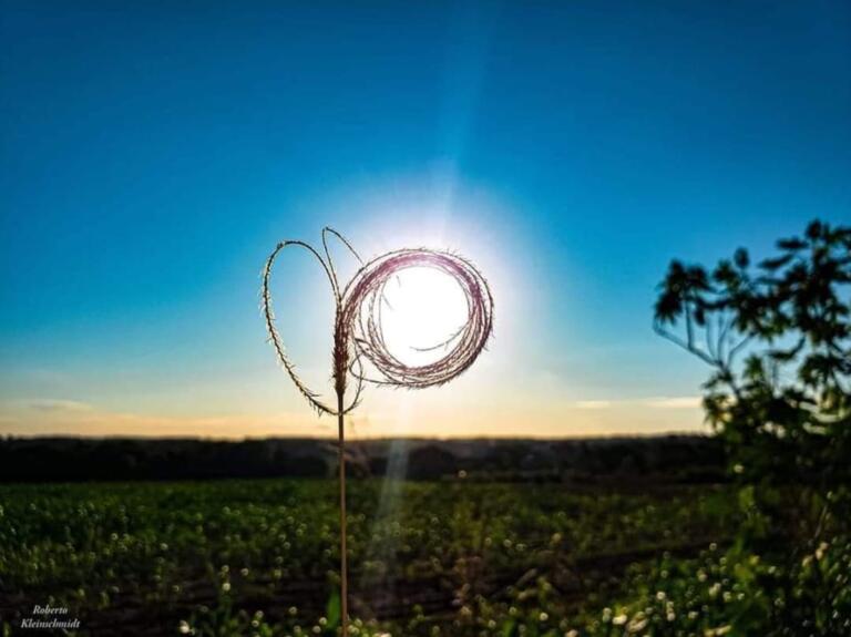 O silêncio nos dá respostas
