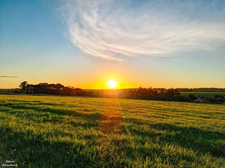 Todos os dias a gente renasce