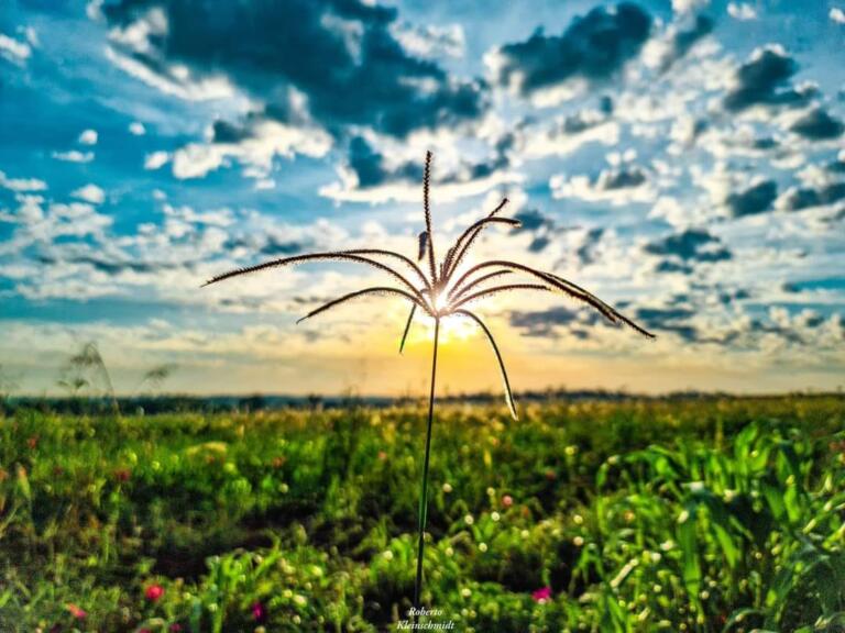 Solte o que não te pertence