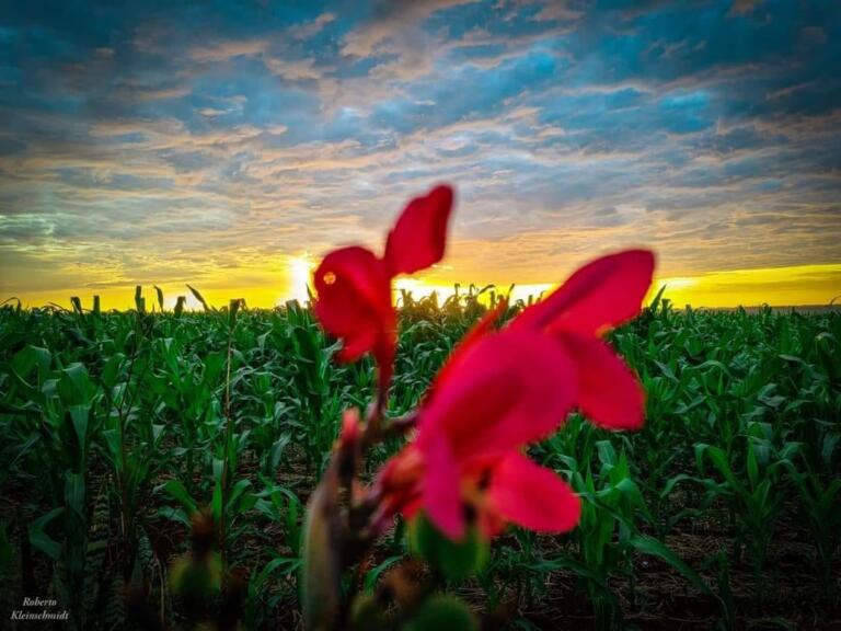 Prioridade em tempo presente